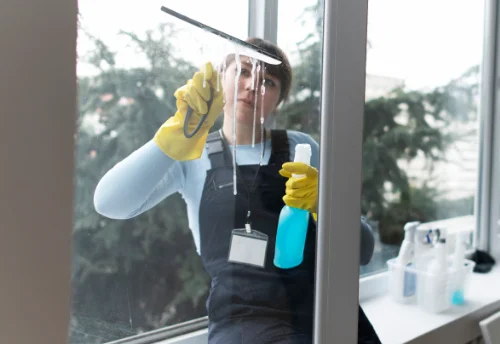 Nettoyage de vitres intérieures et extérieures au Fauga